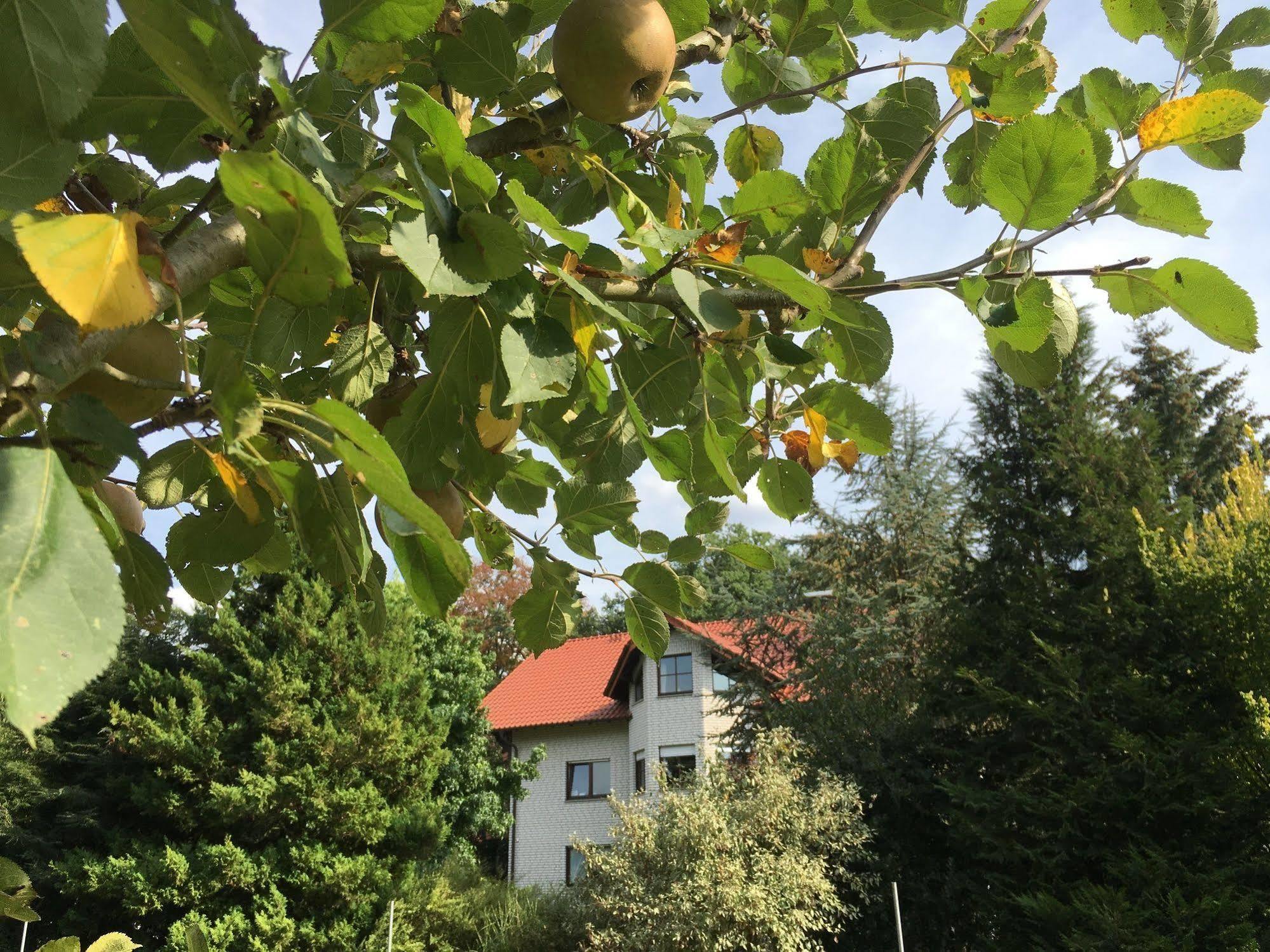 Landhaus Hotel Goeke Hövelhof Εξωτερικό φωτογραφία